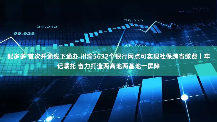 配多多 首次开通线下通办 川渝5632个银行网点可实现社保跨省缴费丨牢记嘱托 奋力打造两高地两基地一屏障