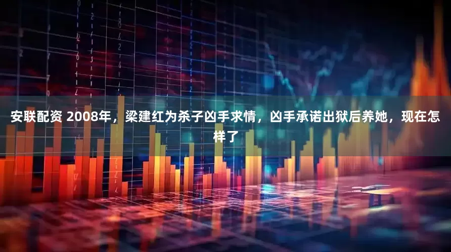 安联配资 2008年，梁建红为杀子凶手求情，凶手承诺出狱后养她，现在怎样了