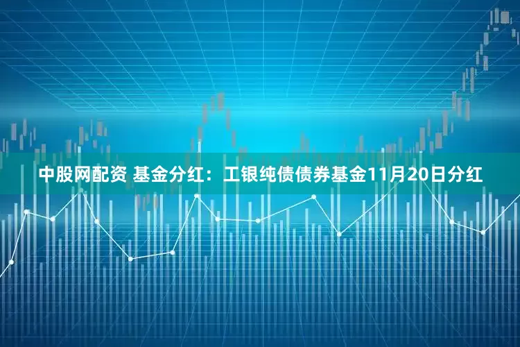 中股网配资 基金分红：工银纯债债券基金11月20日分红