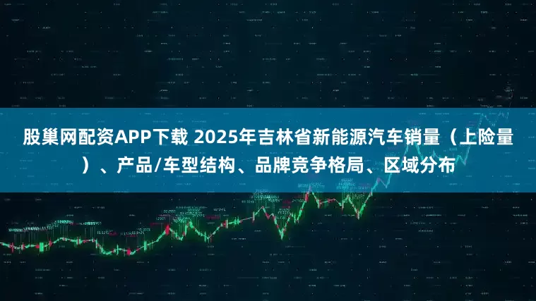 股巢网配资APP下载 2025年吉林省新能源汽车销量（上险量）、产品/车型结构、品牌竞争格局、区域分布