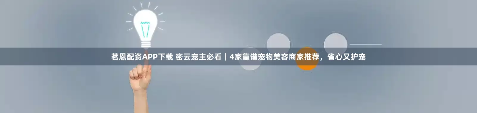 茗恩配资APP下载 密云宠主必看｜4家靠谱宠物美容商家推荐，省心又护宠